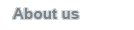 About our Company